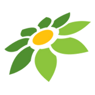 BLINK APK MOD